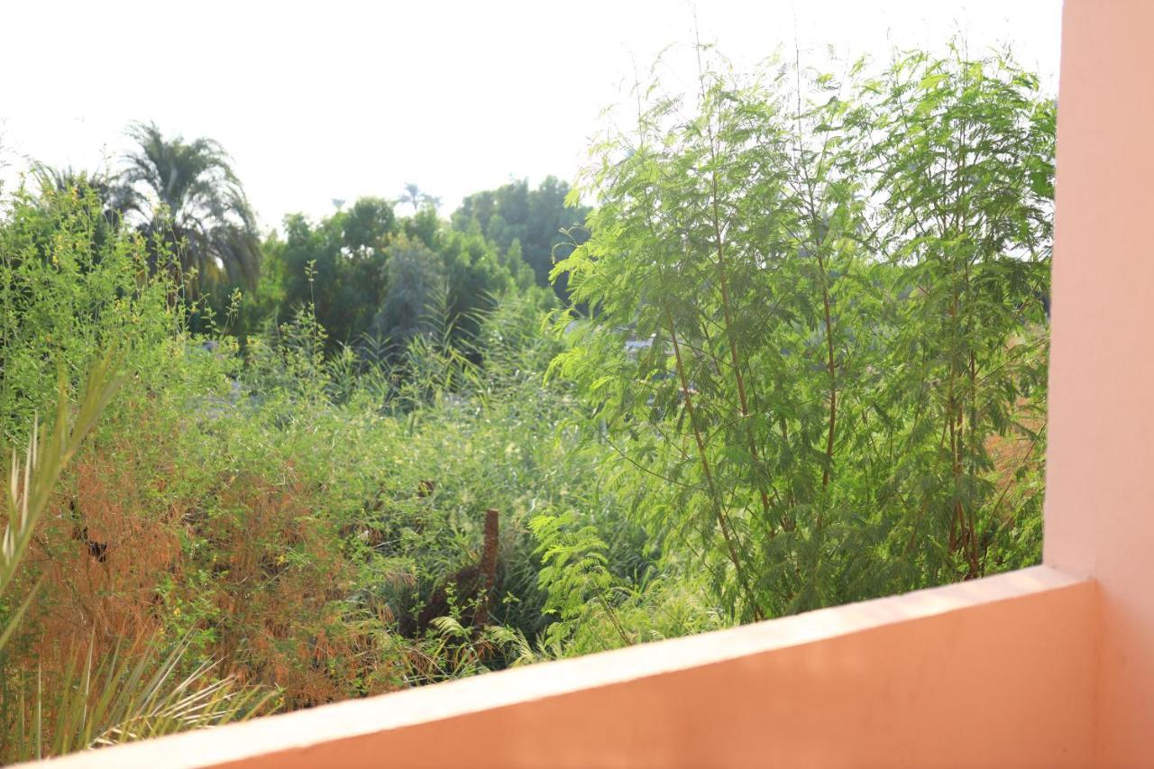 Apartmán Luxor Nile View Flats Exteriér fotografie